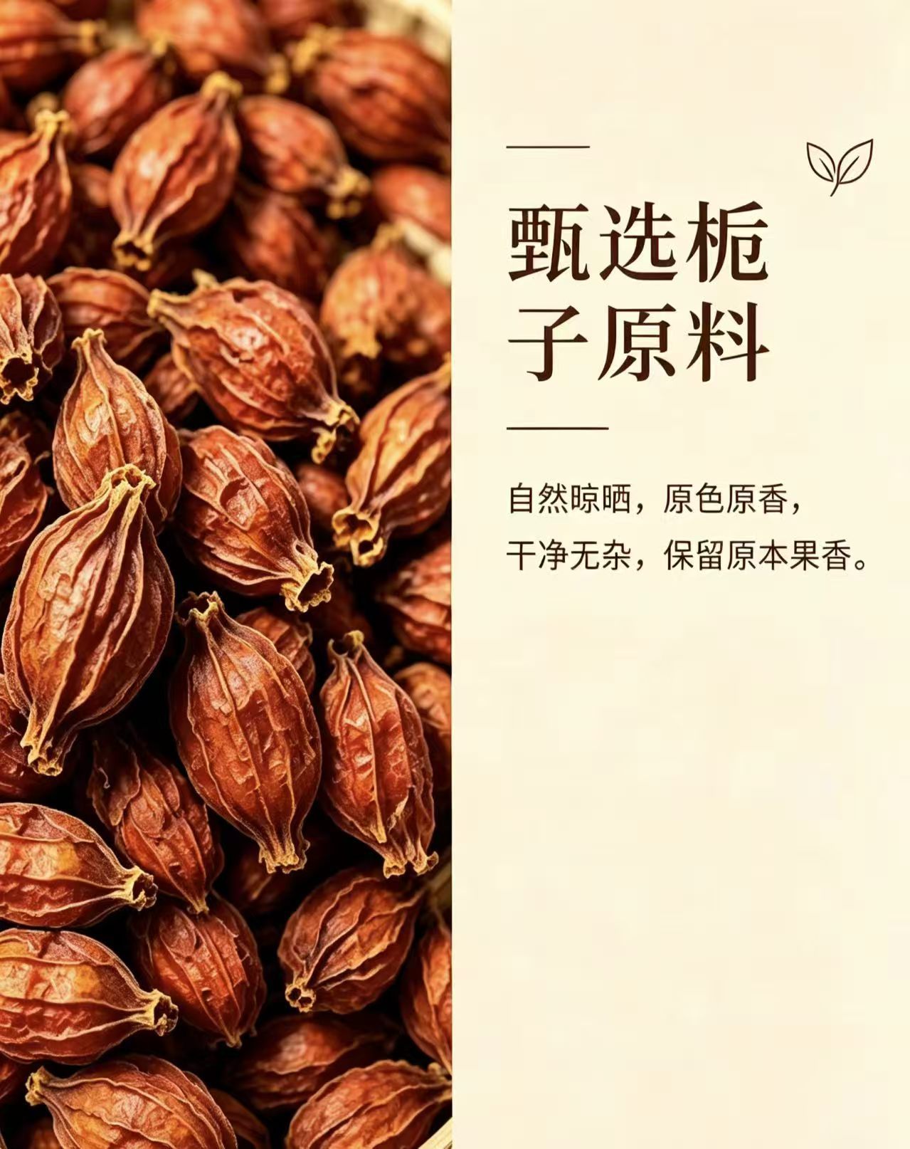 Dried Gardenia Fruit Zhi Zi 1000g Whole Herbal Tea Ingredient for Decoction and Culinary Use key features
