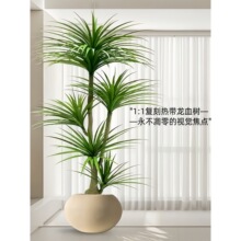 ��Ѫ��Gֲ��횘����F��͏d�b��҃ȴ��ͼ�ֲ��������ؔ[��