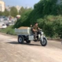 装载电动爬坡果园翻斗车
