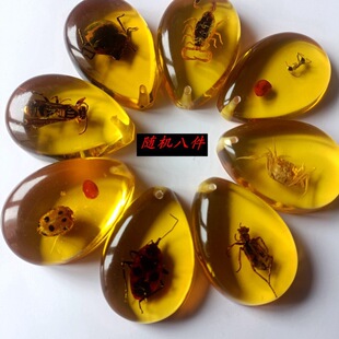 Natural Insect Science Teaching Specimen Resin Amber Douyin Pinduoduo Kuaishou Taobao Wholesale Amber Beeswax