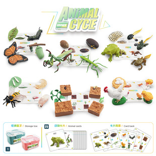 �羳����ֲ���۷�������u�������ģ���ռ{�Є�ֲ����L�������b