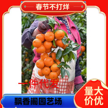 ���٘�������۽���ͥԺ�������Ә��̨���Լ޽ӹ�����Ӯ���Y��