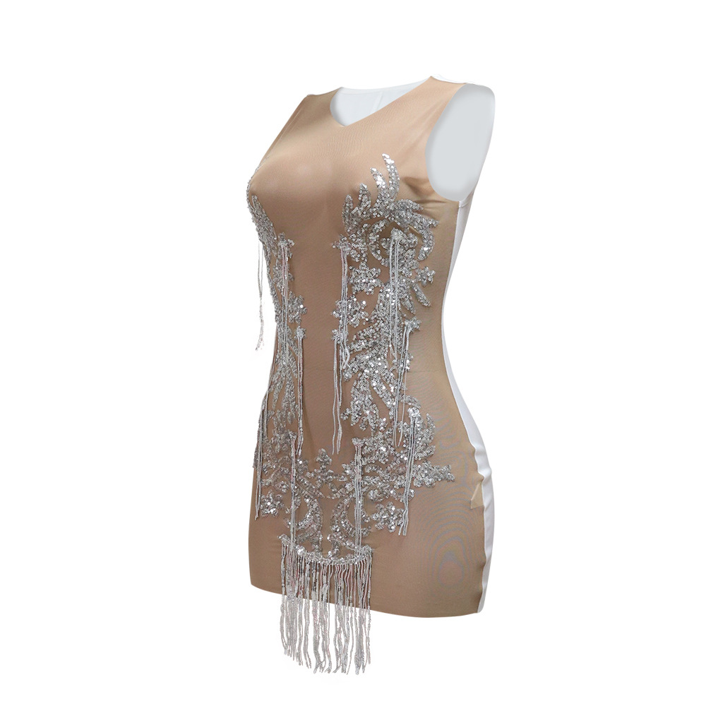 Sequin See through Tassel Dress Women Sexy Sheath Slim Sleeveless Women