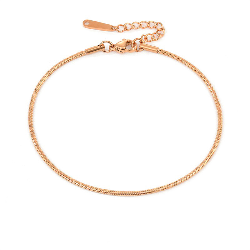 Niche all-match women's gold silver rose gold anklet stainless steel snake chain European and American Foreign trade jewelry wholesale