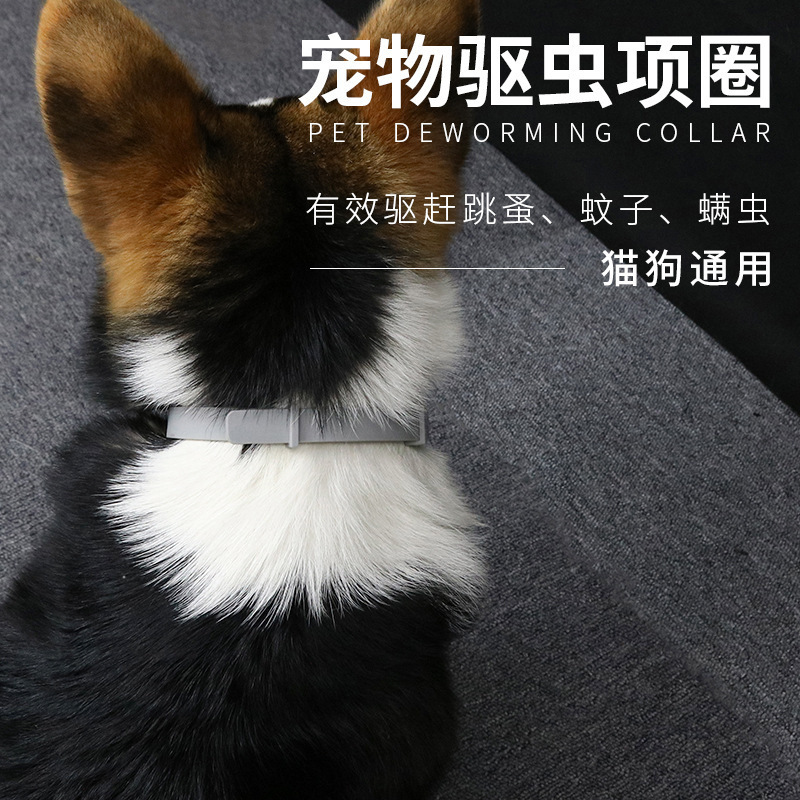 アマゾンのペットの虫よけの首輪猫と犬の虫よけのノミの首輪のシリカゲルのダニの首輪のメーカーの卸売り|undefined