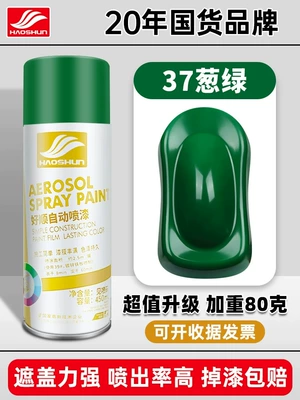 Doesn'T Fade Graffiti Wall Interior – Avtomobil boyası - green-450mlbottle