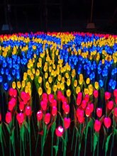 郁金香草坪灯玫瑰花户外防水太阳能地插灯公园广场别墅景观灯