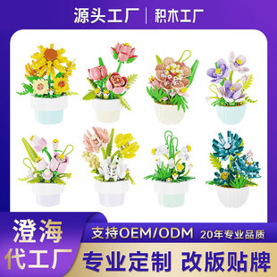 �S��ֱ�N�eľ����������ϵ�л���ģ�̓�ͯ����ƴ�bŮ���Y���׃