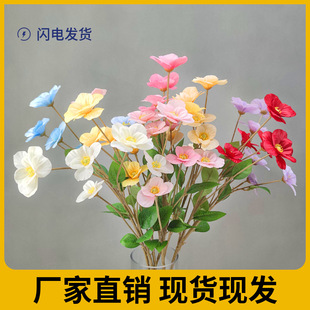 ����6�^���Ļ��Ҿ��̈���Y���ú��������Ų廨��c���� ���S���u