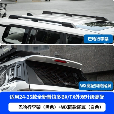 Motorcycle tail – the LC250 - bahah-luggage-rack-original-factory-style-rear-spoiler-white