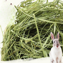 òݕĦݰݚwlጙĪɲüZ