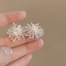 �߼����p�ݱ��W�ѹ�Ӣ��������F�����|���h������᪚�؂��Զ��