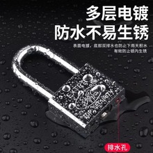 ����30mm�ķ�������С�����²����ҶƬ������ͨ����������