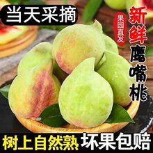 ���@ֱ�l�������r���������Ӯ���ˮ���ЋDˮ���Ҵ������l�r