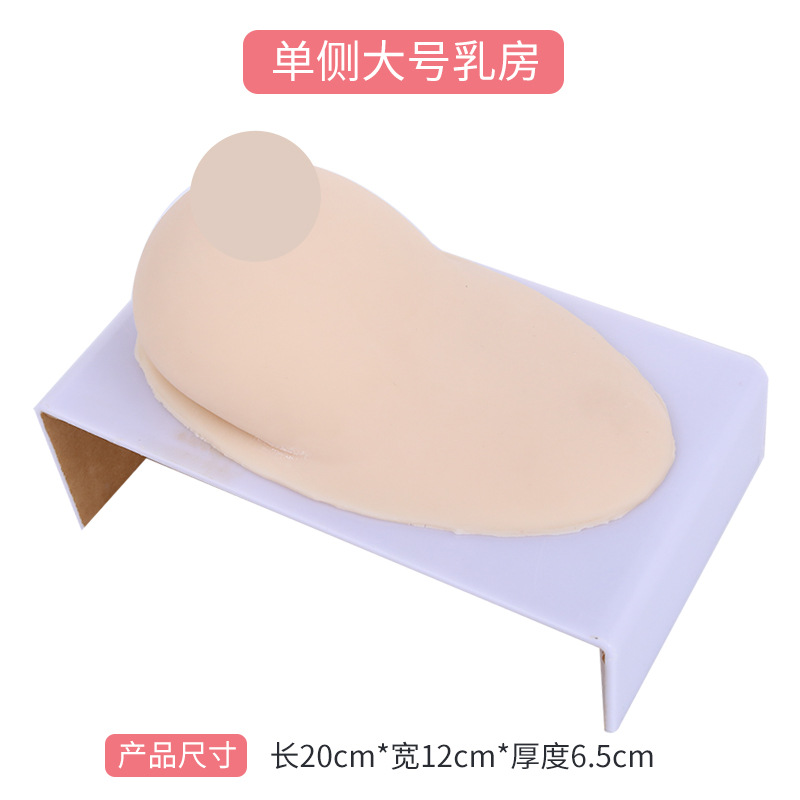 Ů���鷿ģ�� ����ʦ��ѵ���߲����ѧģ�� �轺���鷿 ҽѧ�̾�