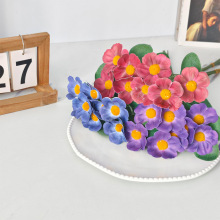 ���浥֧�����������»���Ҿ�װ�ΰڼ� ���ϼٻ���ֲ �羳����