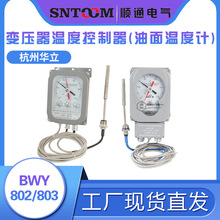 华立变压器油面温度控制器BWY-804 BWY-803/802绕组温度计BWR-04A
