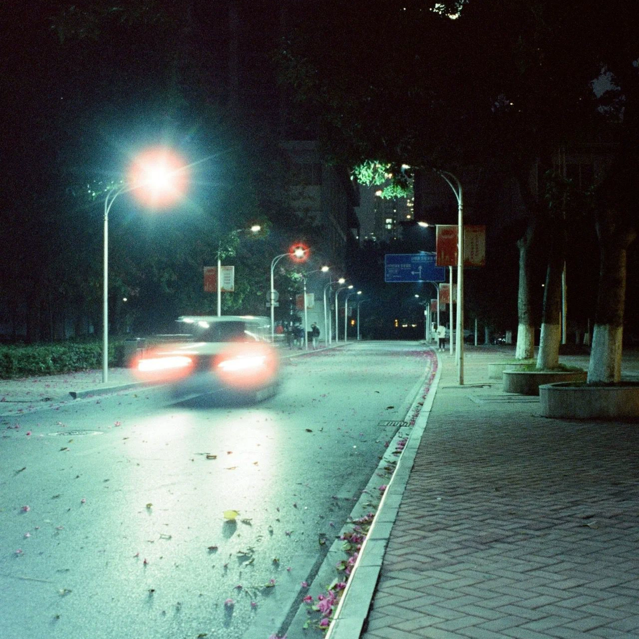 Color Negative Film (LFANI) BOOT 800T — 135/36, ISO 800, 24×36 mm