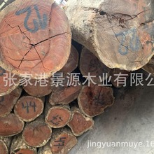 ͢t̴㻨 㻨tľ 黨ľҾ߲