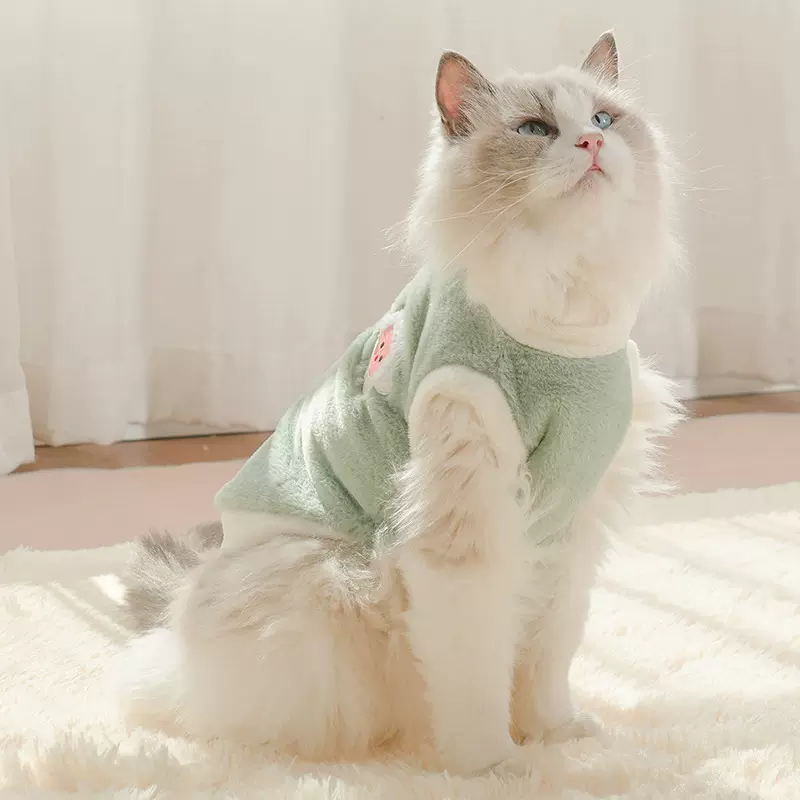现货清仓款猫猫衣服狗狗冬保暖加厚背心防掉毛布偶宠物衣服小型犬