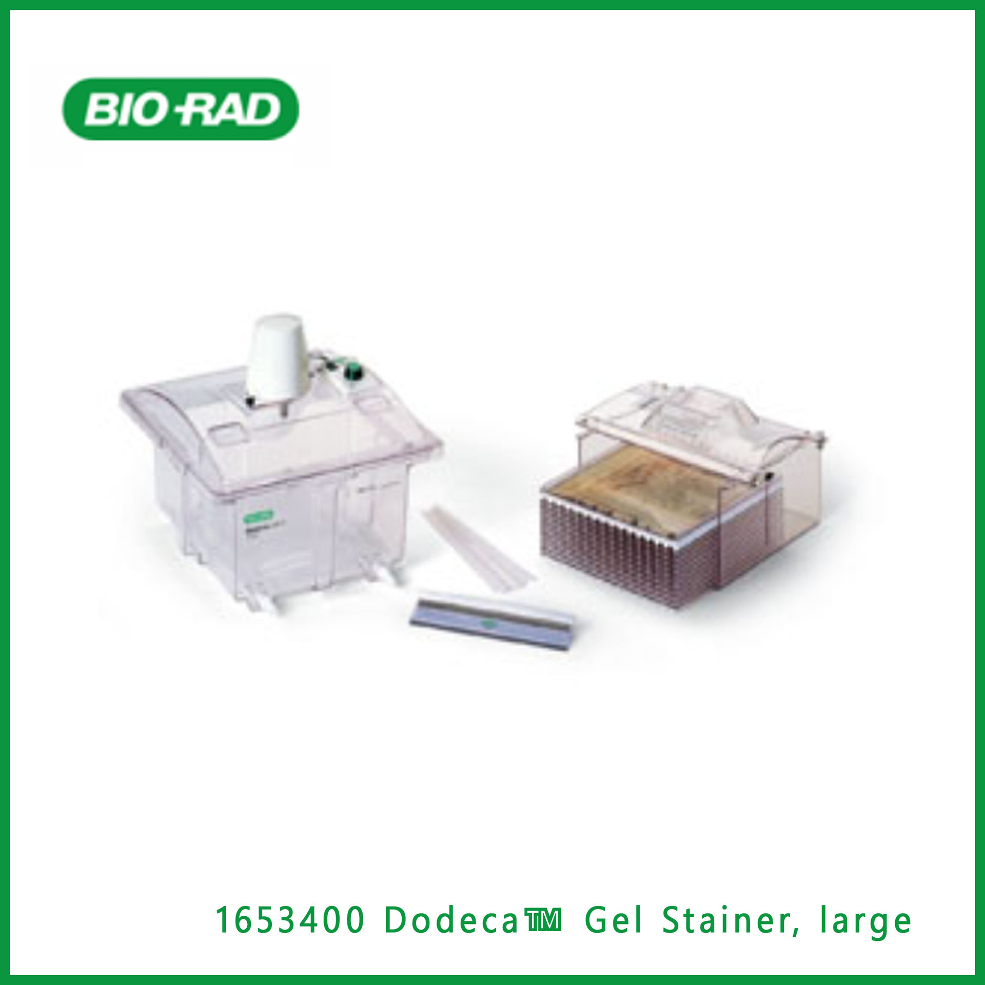 伯乐Bio-Rad  1653400  Dodeca™  凝胶染色剂，大