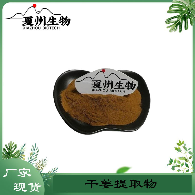 干姜提取物 10/20/30:1  干姜喷干粉 干姜浸膏粉 干姜粉 厂家销售