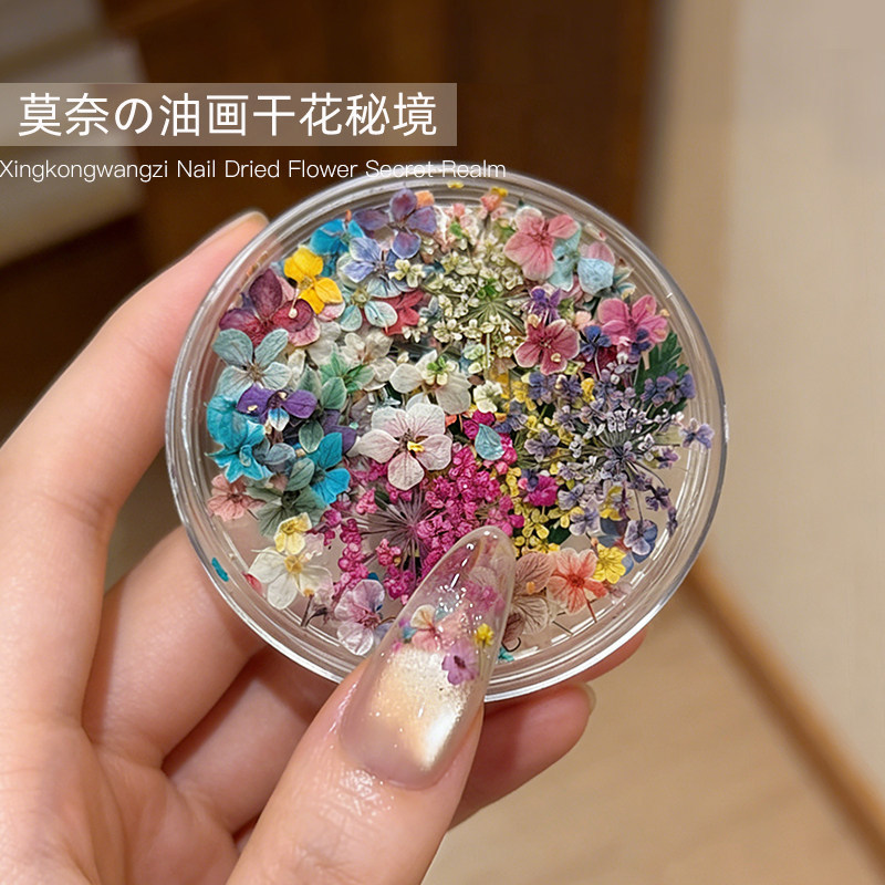 Nail art spring new style Monet oil painting dried flowers secret garden small floral colorful mixed dried flowers mini nail decorations