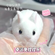 ������С�������󘷽≺��ż�[��������Y���|�ۄ���≺����