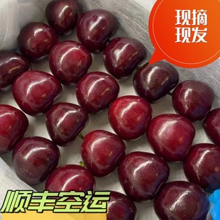 ���rˮ��һ�����l��������S���\���]܇���ӬFժ�F�l���B�������