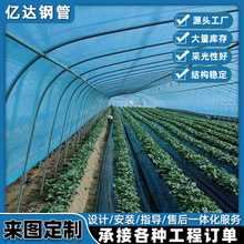 秋冬蔬菜恒温大棚简易单体拱棚保温大棚搭建种植培育大棚椭圆骨架