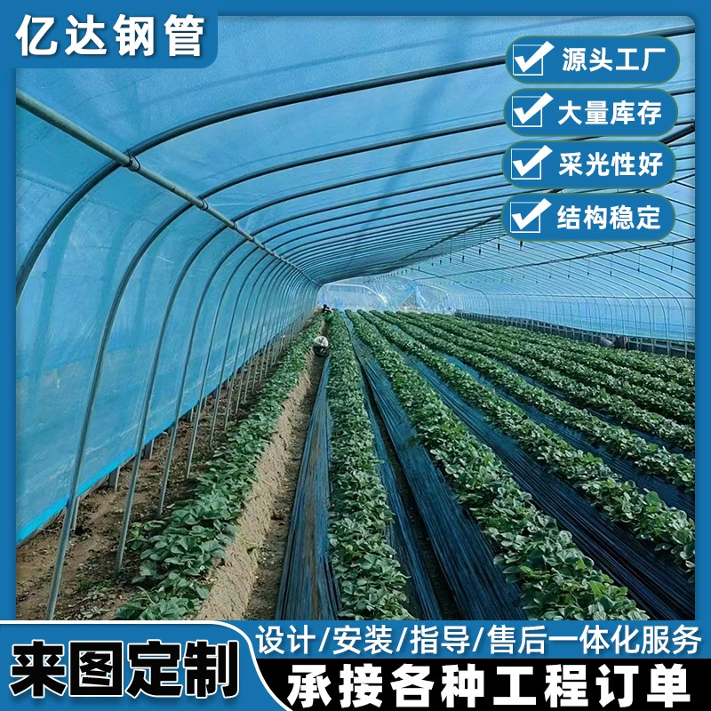 Осенне-зимняя теплица с постоянной температурой овощей, простая одинарная арка, изоляционная теплица, строительство посадки и выращивание, теплица, овальный скелет