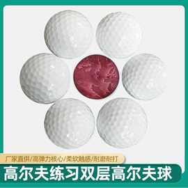 热销高尔夫球双层高尔夫比赛球正规下场比赛球全新空白球可印LOGO
