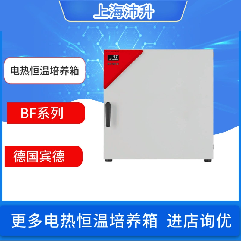 Немецкий BINDER Электрический Биохимический инкубатор постоянной температуры BF 56 115 260 400 720