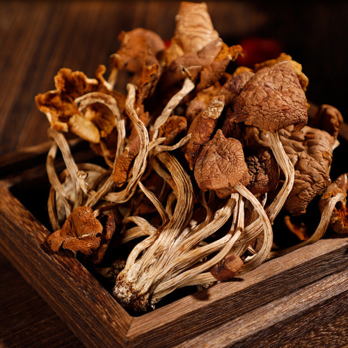 Tea tree mushrooms dry goods mushrooms edible fungi new goods bulk bags wholesale unopened tea tree mushroom bags source factory