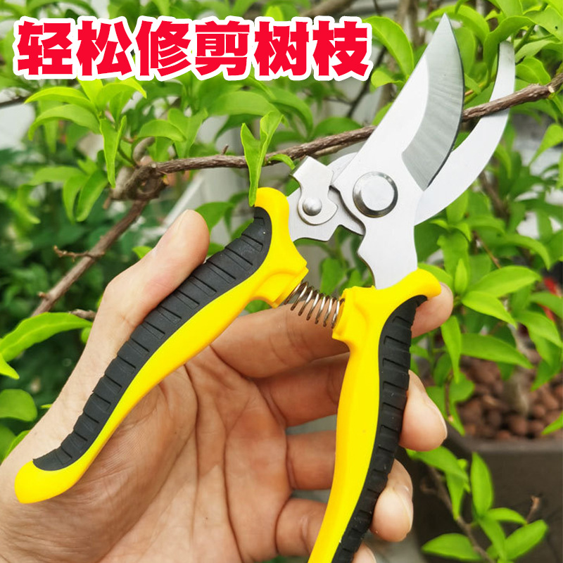 修枝剪 园艺花艺剪 园林果树枝剪 象牙白剪枝剪 摘果剪剪树枝工具