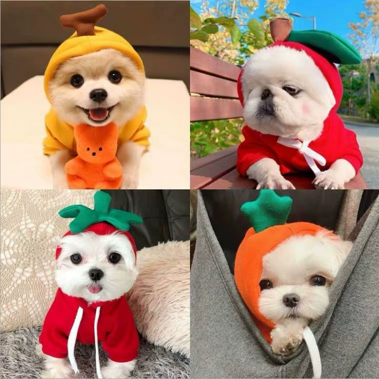 Одежда для трансформации фруктов Одежда для кошек Осенне-зимняя одежда для домашних животных Зимняя одежда Тедди Свитер для маленьких собак Теплый шпиц