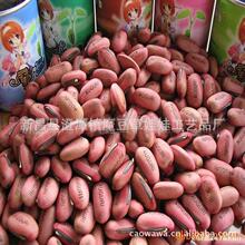 �Nֲ�L��������������ף�����ַNֲħ���t���׶����鶹С����