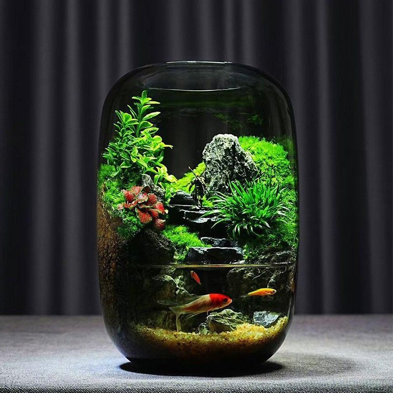 昇進デスクトップ苔マイクロ風景生態ボトル黒神話悟空鉢植えクリエイティブ装飾品オフィス植物|undefined