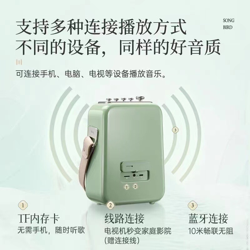Divoom点音东方青鸾二代新款K歌音响蓝牙音箱唱歌话筒音响一体麦|undefined