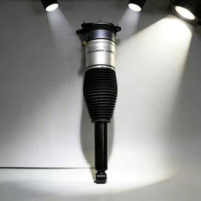 damping system Absorbers Model S Rear