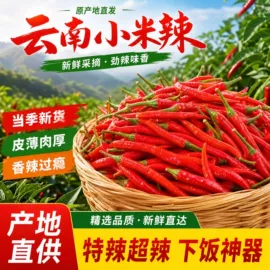 其他蔬菜;瓜果类;其他蔬菜制品