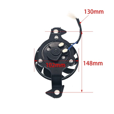 V3/V4 Mt 125, Fan