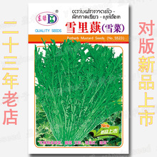 4��ѩ��ޮ�N�� ѩ��ѩ��t�����̲�����Ų˾��^���Ų����˷N��