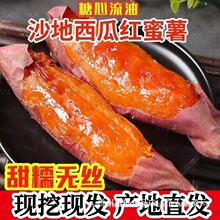 ���ϼtտ���t�����ڼt����������ɳ�ط����������عϮa��ֱ�l