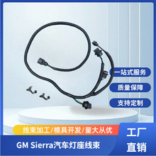 23295980适用于GM Sierra2016-18年汽车驾驶员侧灯座线束