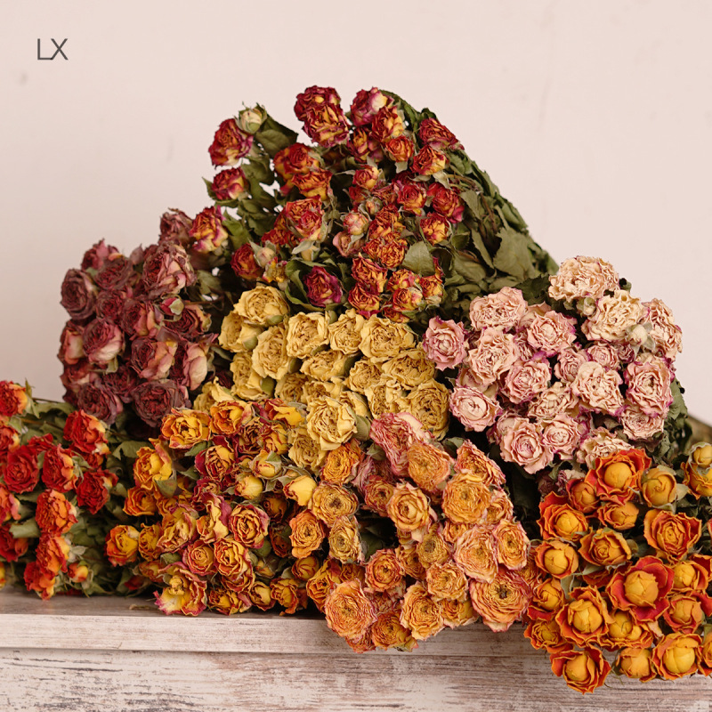Multi-Headed Rose Dried Flower Bouquet Multi-Headed Bubble Rose Rose Single-Headed Rose Dried Flower Bouquet Photo Frame Glue Material