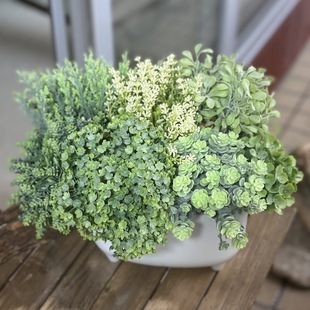 С�ݻ������ϾGֲܛ�b�廨��ļٻ��Ҿ��b[����c�b�