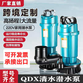 跨境QDX潜水泵自吸泵系列220v/110v高扬程抽水泵50/60hz小型水泵