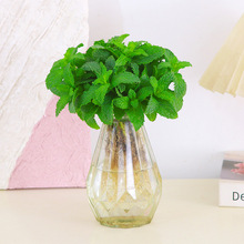 ��������ˮ����B�^�~����Gֲ�͏d��̨��ʳ�����ֲ���k�������[