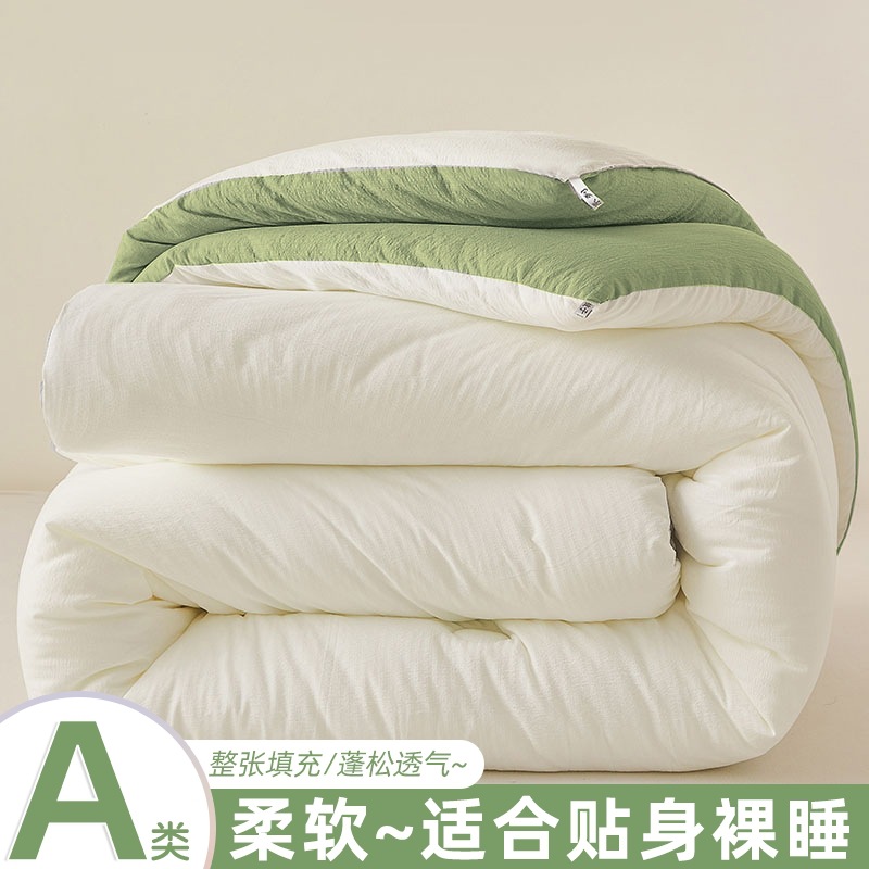 Cross-Border Double-Layer Yarn Quilt Core Winter Quilt Thickeneded and Warm Student Dormitory Home Single Soybean Spring & Fall Quilt